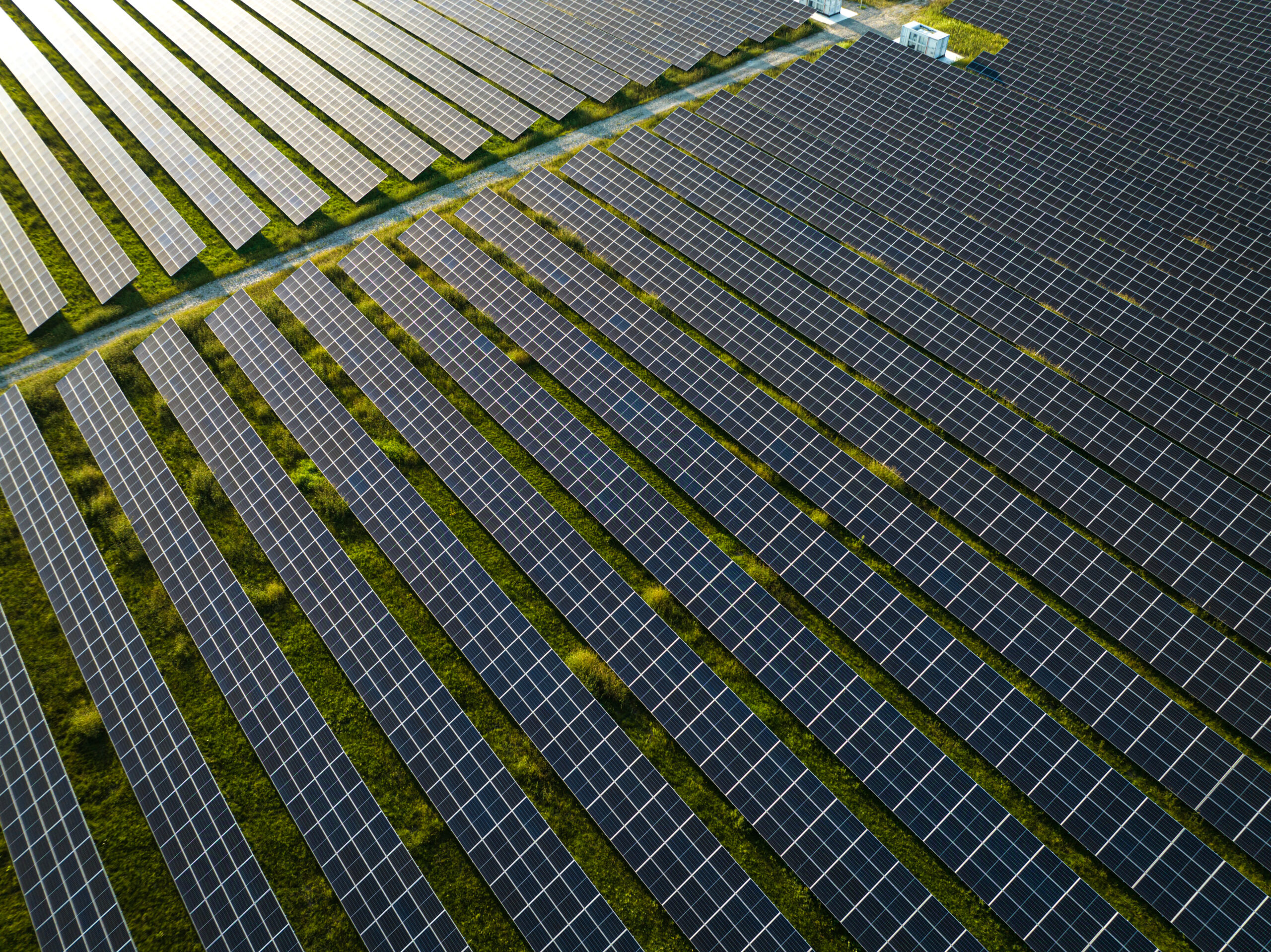 Sunly-news-scaled-2